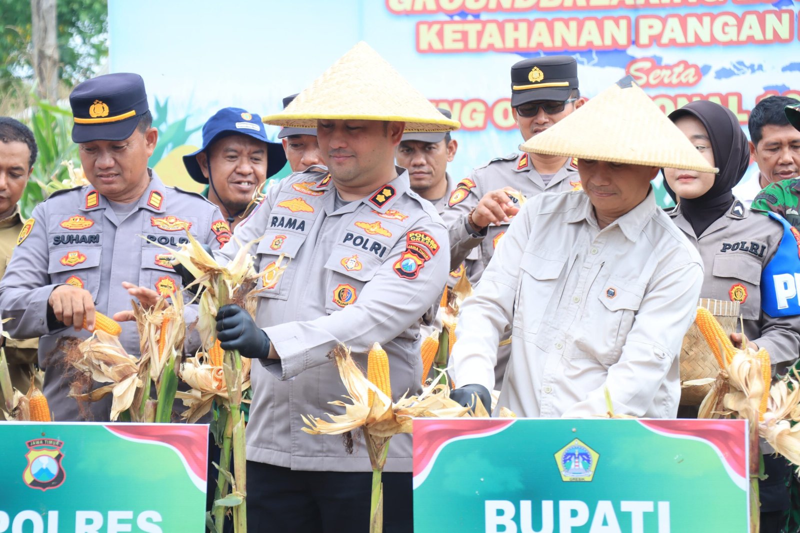 Dukung Ketahanan Pangan Nasional, Polres Gresik Sukses Panen Raya Jagung 80 Ton di Panceng dan Salurkan Bantuan untuk Petani
