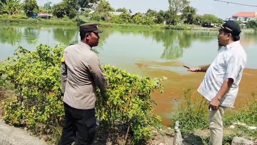 Kapolsek Sidayu Tinjau Lahan Cabai, Wujud Nyata Dukungan Polres Gresik pada Program Pangan Nasional