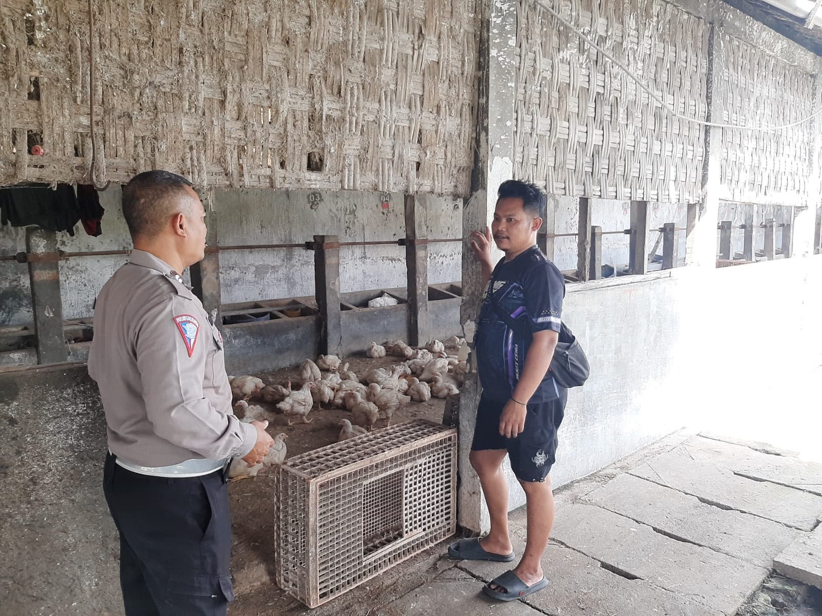 Anggota Polsek Kebomas Tinjau Peternakan Ayam di Desa Kembangan, Wujud Nyata Dukungan Ketahanan Pangan