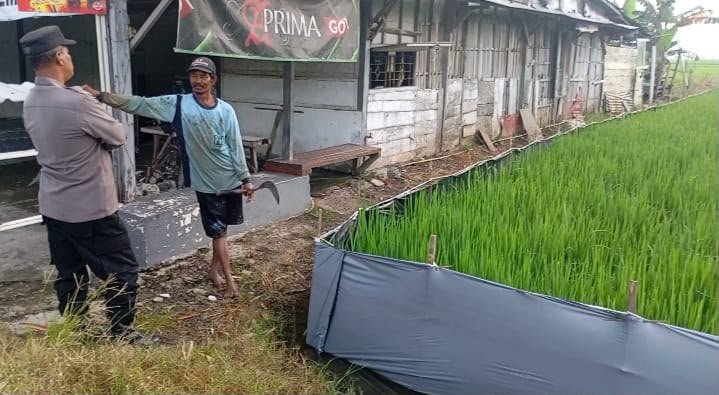 Polres Gresik Intensifkan Pendampingan Petani, Tanaman Padi di Sumengko Dipantau Berkala