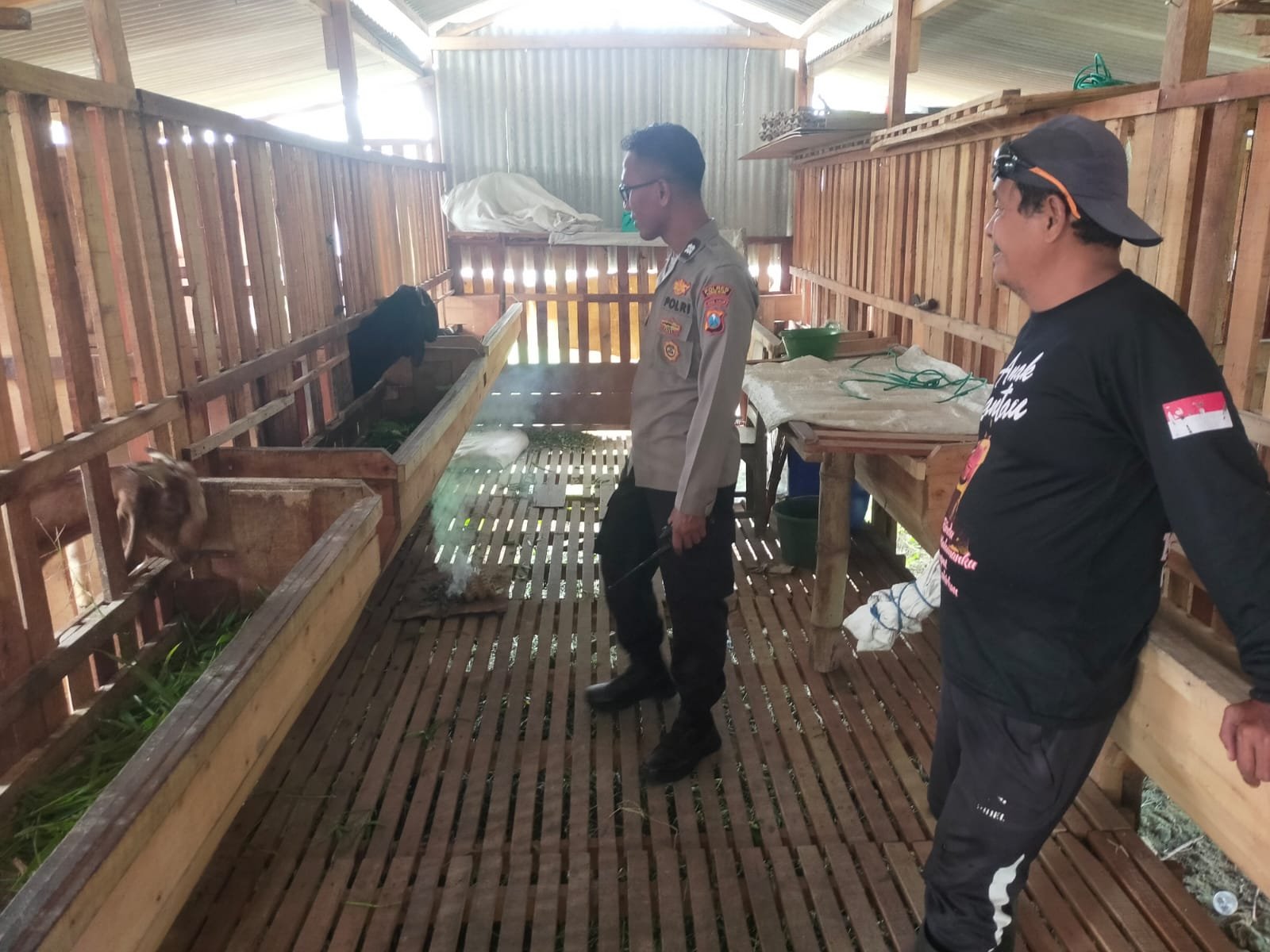 Dorong Kesejahteraan Warga, Polsek Manyar Monitoring Peternakan Kambing di Gresik