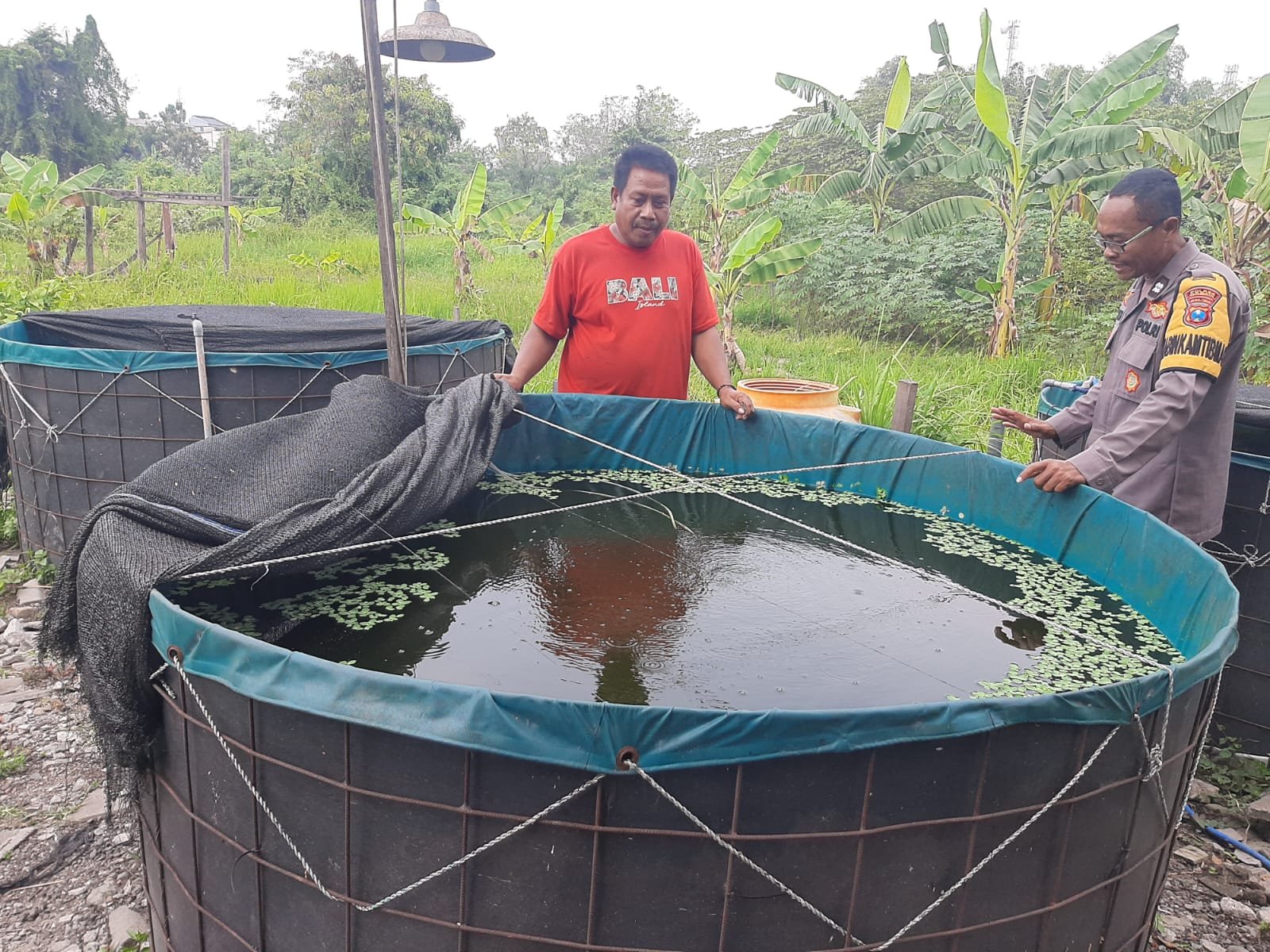 Sinergi Polri dan Masyarakat, Budidaya Lele di Sekarkurung Jadi Penopang Ketahanan Pangan