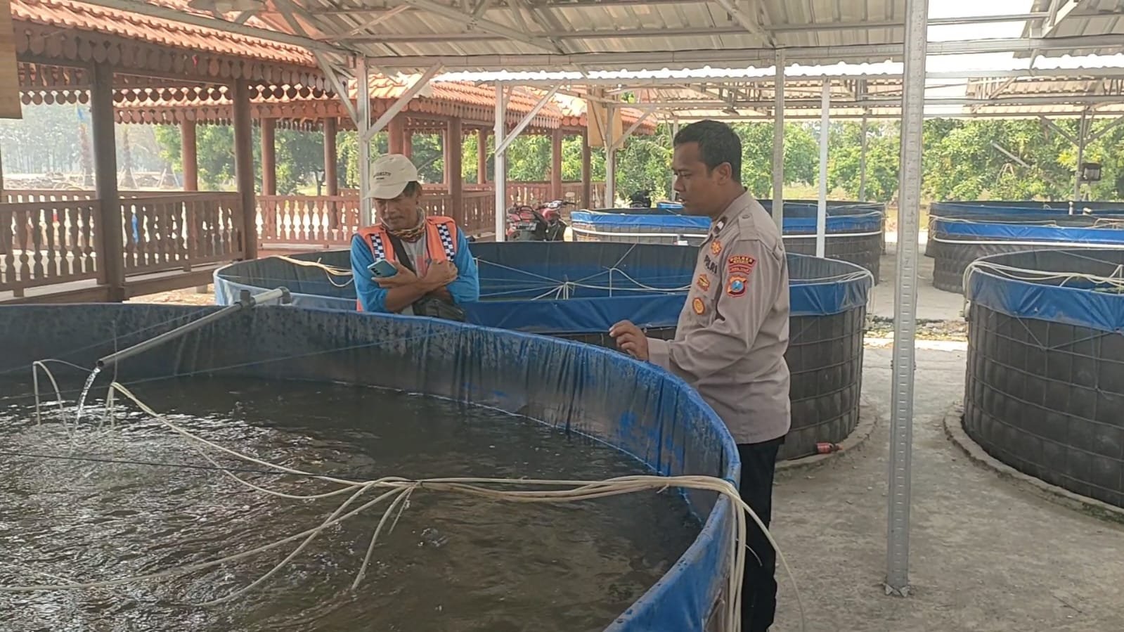 Polsek Sidayu Tinjau Budidaya Lele di Desa Lasem, Dukung Program Swasembada Pangan Nasional
