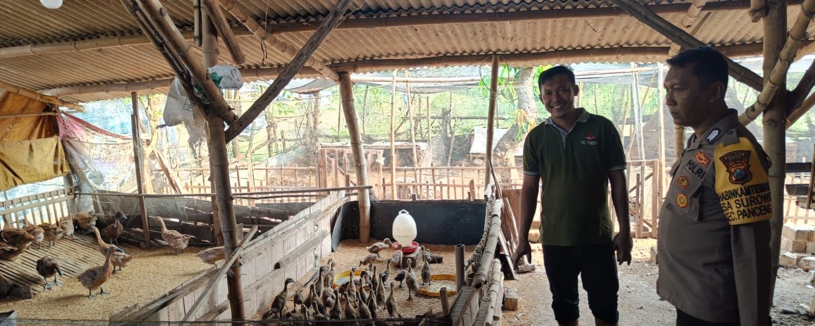 Polsek Panceng Monitoring Peternakan Bebek di Sukodono, Perkuat Upaya Swasembada Pangan