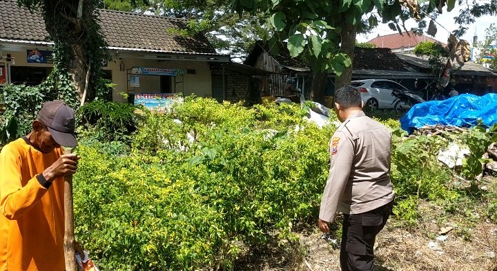 Polsek Dukun Lakukan Pengecekan Tanaman Cabai Dukung Program Swasembada Pangan di Gresik