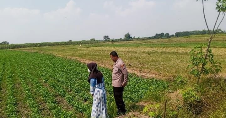 Bhabinkamtibmas Polsek Balongpanggang Cek Tanaman Kangkung, Dukung Swasembada Pangan