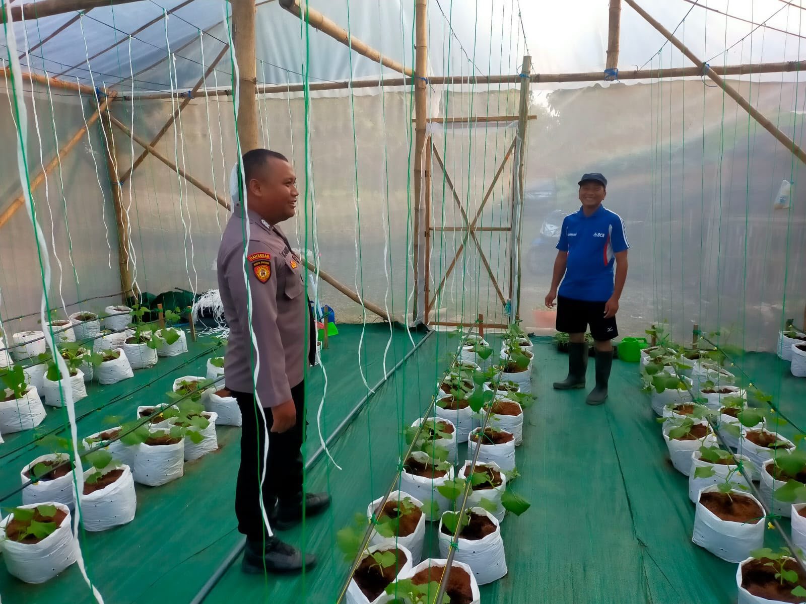 Dukung Arahan Presiden RI, Polsek Dukun Cek Perkembangan Tanaman Melon di Mojopetung