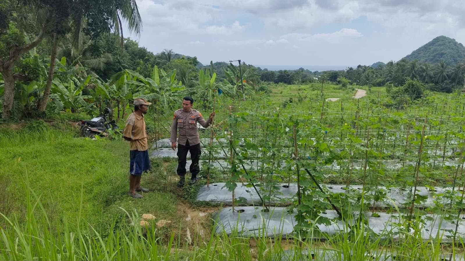 Optimalkan Lahan Produktif, Langkah Nyata Polsek Sangkapura Sukseskan Swasembada Pangan
