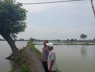 Dukung Asta Cita Presiden, Polsek Duduksampeyan Monitoring Tambak Ikan untuk Perkuat Swasembada Pangan Nasional
