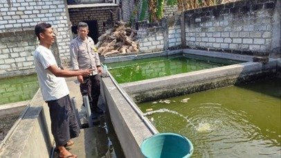 Komitmen Dukung Ketahanan Pangan, Polsek Bungah Tinjau Kolam Lele Milik Warga di Indrodelik