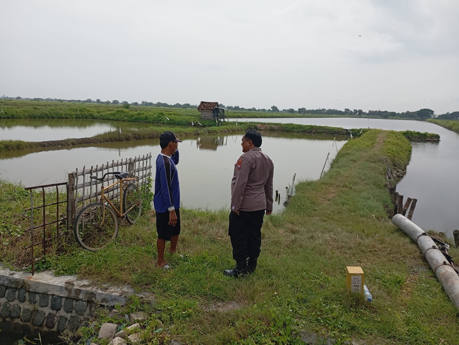 Polsek Duduksampeyan Kawal Budidaya Ikan di Wadak Kidul, Wujudkan Ketahanan Pangan Berkelanjutan