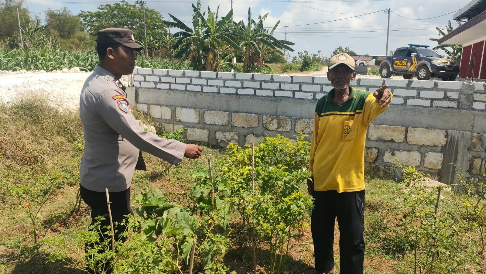 Polsek Sidayu Cek Tanaman Cabai, Dukung Program Ketahanan Pangan di Gresik