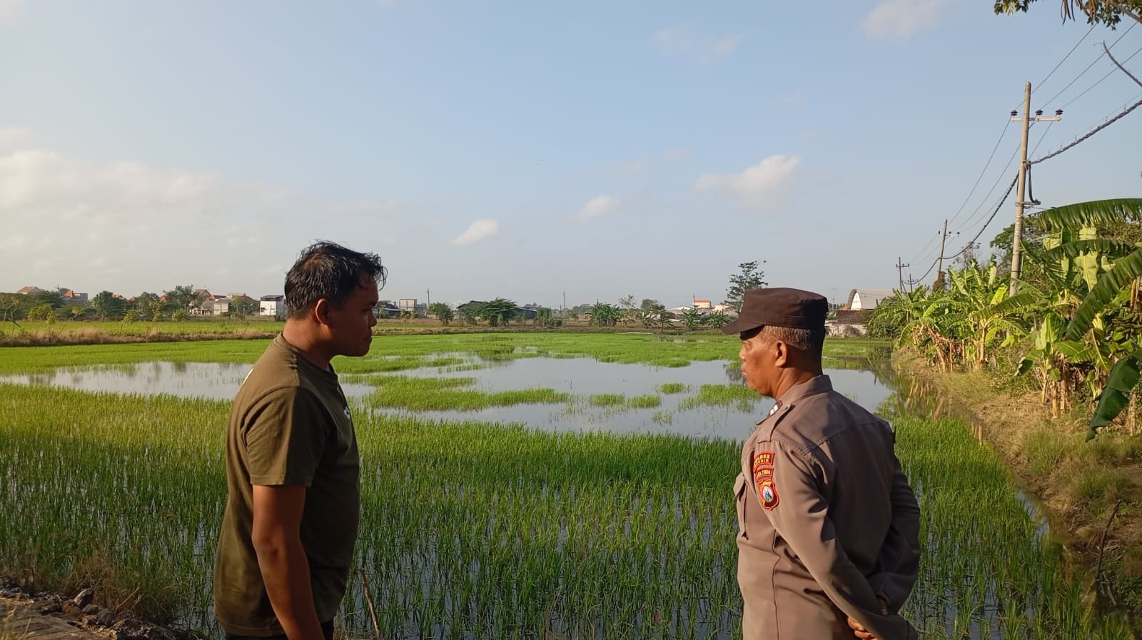 Jaga Ketahanan Pangan, Polsek Duduksampeyan Pantau Pertumbuhan Padi di Desa Sumengko