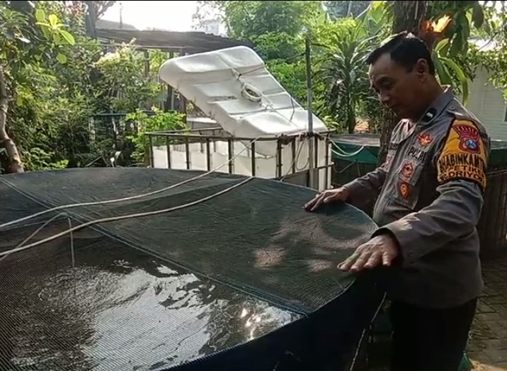 Dukung Ketahanan Pangan, Polsek Driyorejo Pantau Budidaya Ikan Lele di Petiken