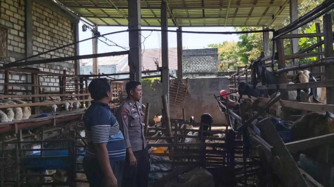 Dukung Ketahanan Pangan, Polsek Bungah Pantau Peternakan Kambing Warga