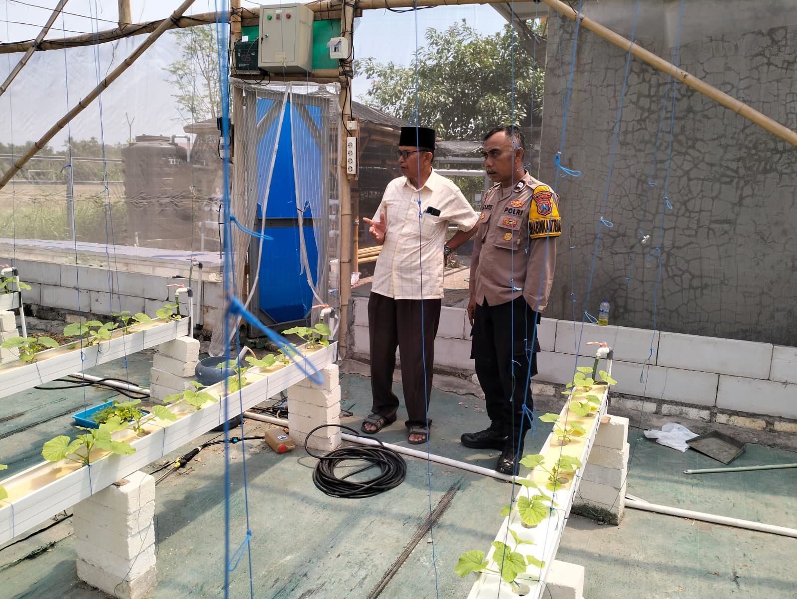 Dukung Swasembada Pangan, Polsek Manyar Pantau Budidaya Melon di Desa Suci