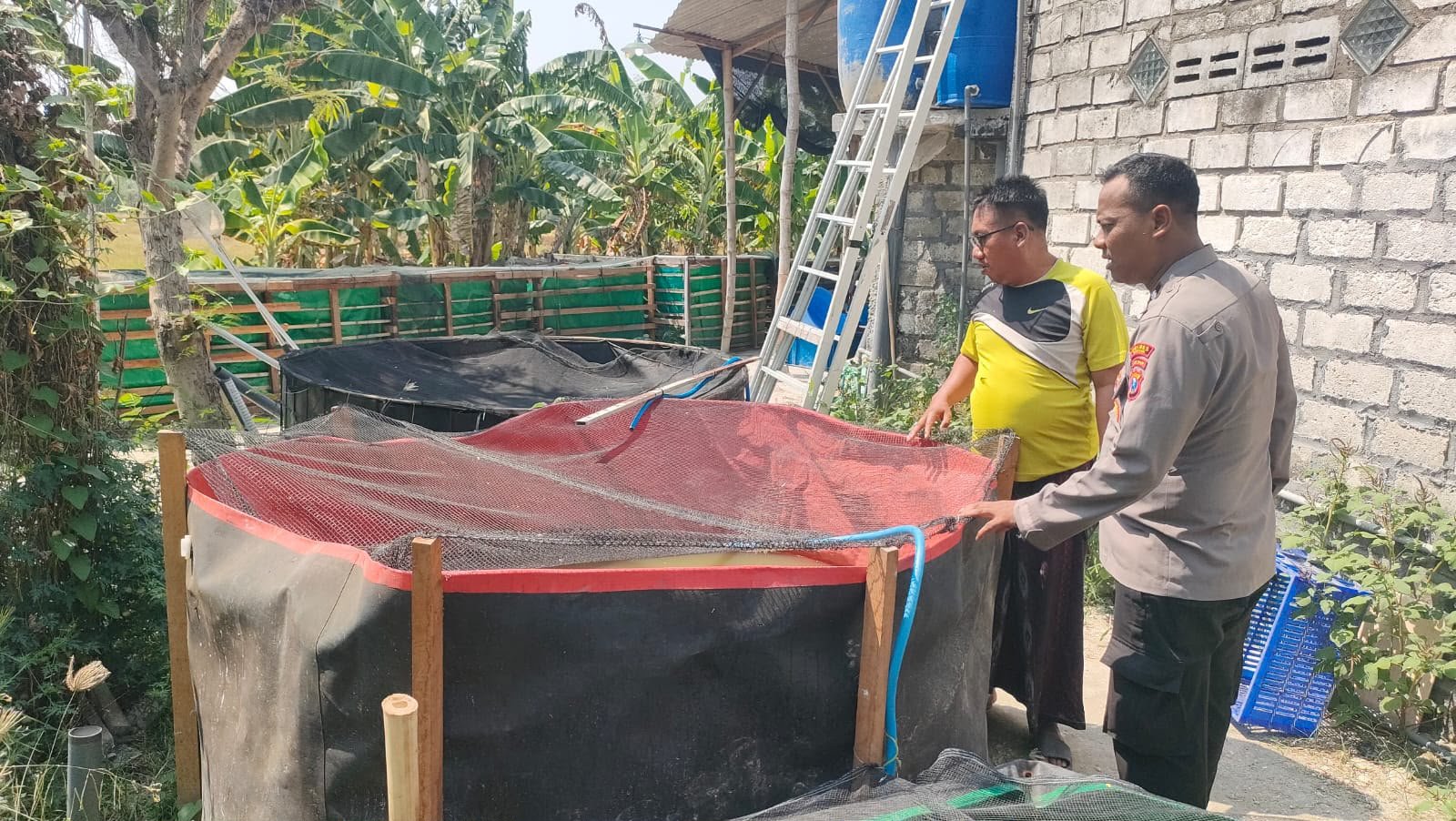Akselerasi Swasembada Pangan, Kapolsek Sidayu Tinjau Kolam Lele Warga Ngawen