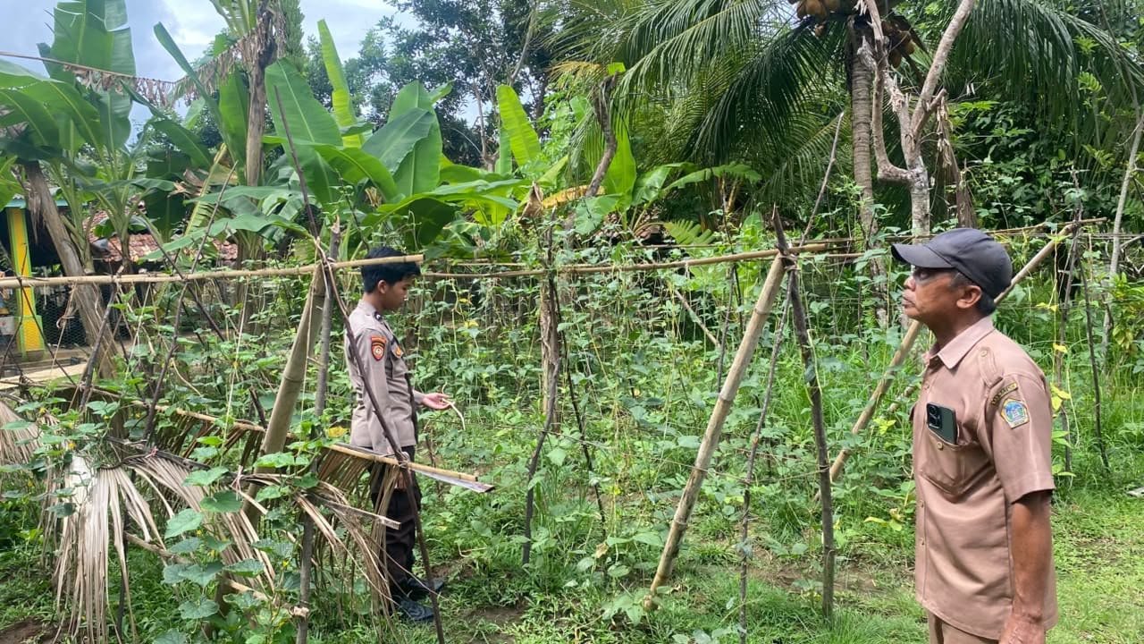 Dukung Swasembada Pangan, Polres Gresik Cek Perkembangan Tanaman Kacang Panjang di Lebak Sangkapura